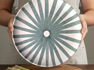 Terracotta Ray Dinner Plate | Sage